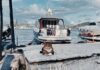 Istanbul is Calling