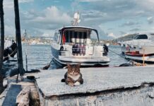 Istanbul is Calling