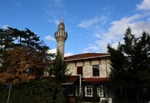 Istanbul in Autumn: Golden Light and Fewer Crowds Istanbul in Autumn: Golden Light and Fewer Crowd