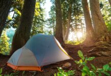 Camping Near Istanbul: Best Sites, Gear Tips, and Weekend Escapes A tent set up in a forest near Istanbul, ready for a weekend camping trip
