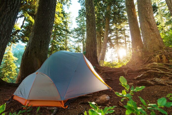 camping-near-istanbul-forest-tent A tent set up in a forest near Istanbul, ready for a weekend camping trip