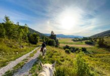 Horse Riding Near Istanbul: Trails, Stables, and Day Trips Horse riding on a countryside trail near Istanbul